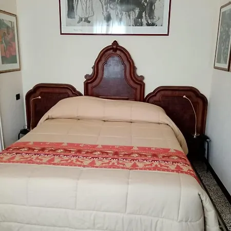 Paulonia